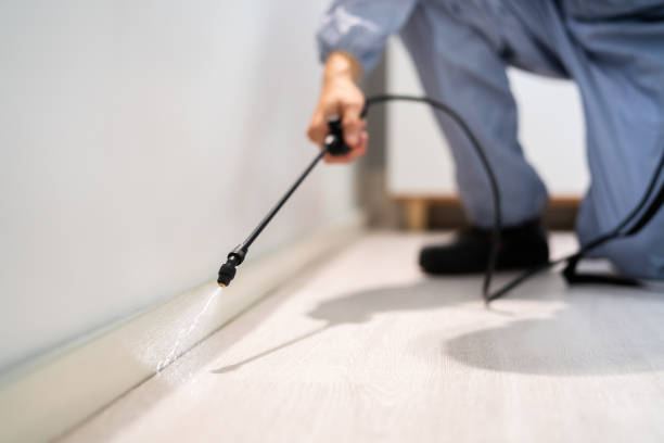 Licensed Pest Control service in Woodbury Heights, NJ - Show Me Pest Control